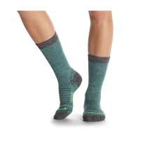 Load image into Gallery viewer, Women's Performance Merino Hiking Calf Socks