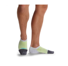 Load image into Gallery viewer, Men's Performance Cushioned No Show Socks
